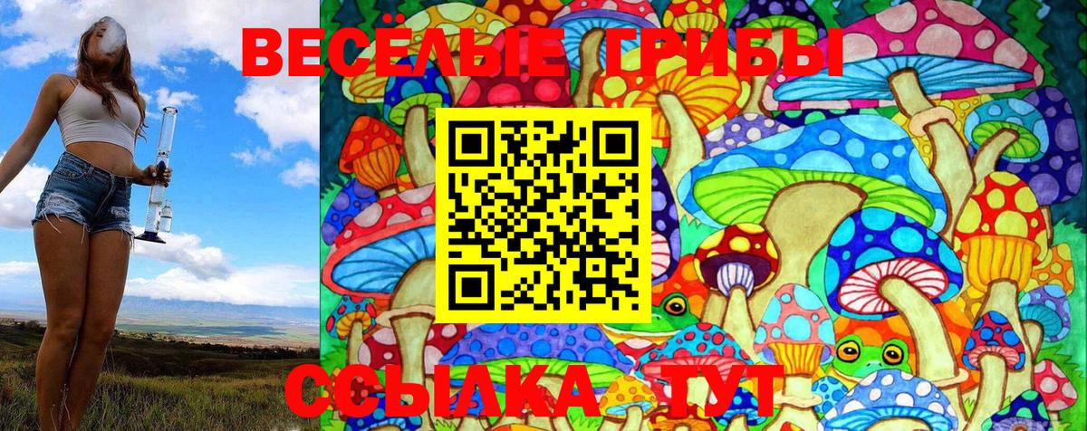 Галлюциногенные грибы Cubensis  Вход с VPN  Нефтекамск 