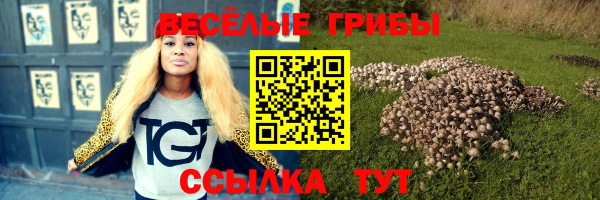 Псилоцибиновые грибы Psilocybe Нефтекамск